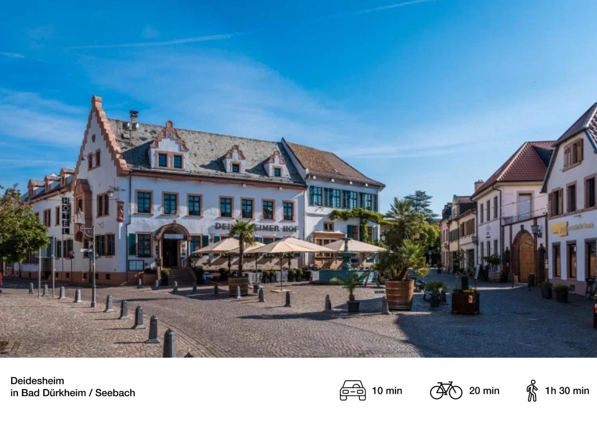 Privates Ferienhaus Mit Pool & Whirlpool Zentral In Bad Dürkheim Esterno foto