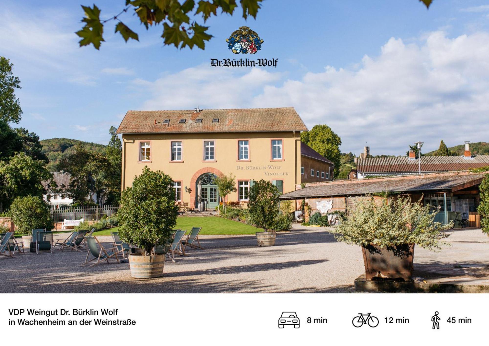 Privates Ferienhaus Mit Pool & Whirlpool Zentral In Bad Dürkheim Esterno foto