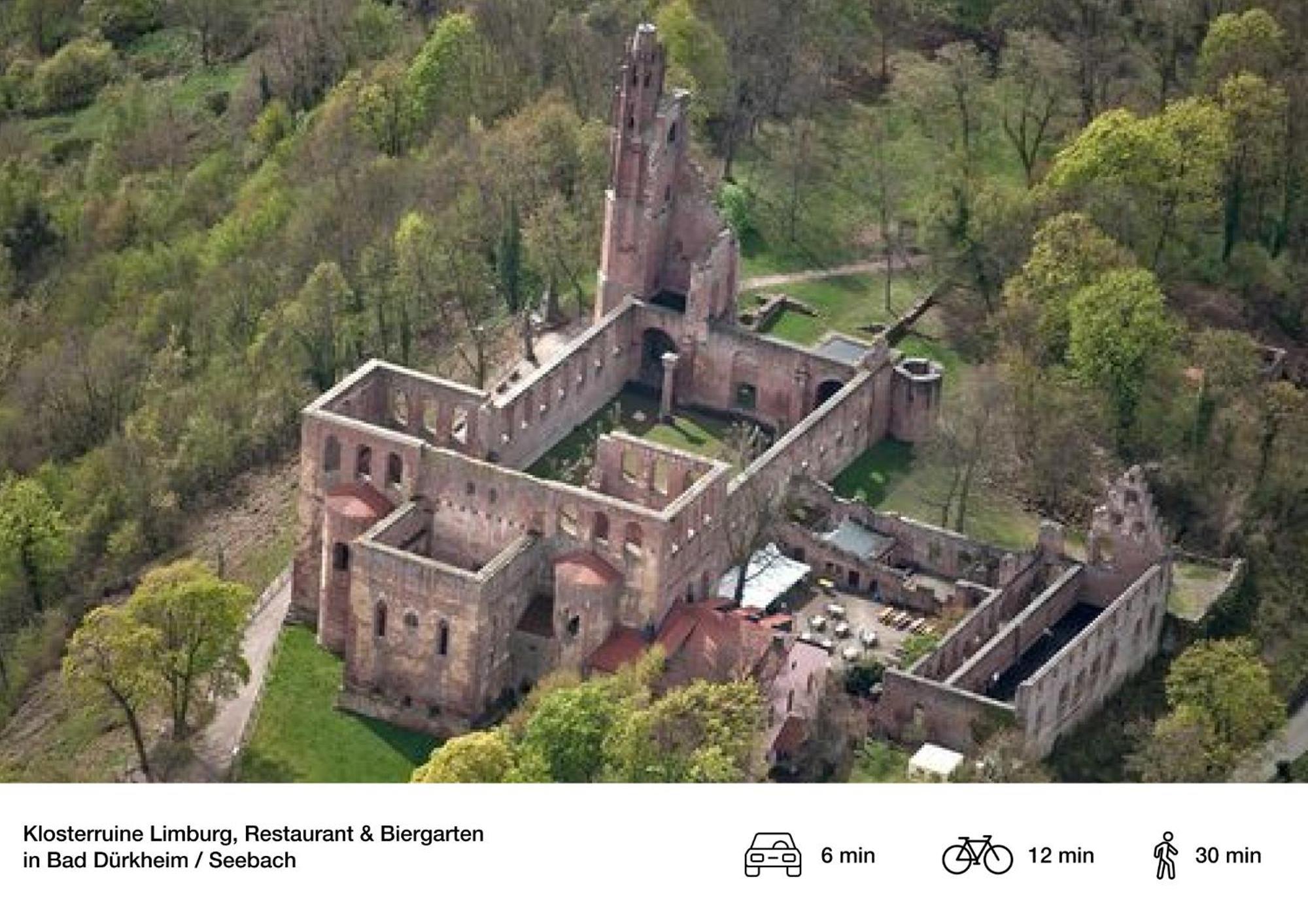 Privates Ferienhaus Mit Pool & Whirlpool Zentral In Bad Dürkheim Esterno foto