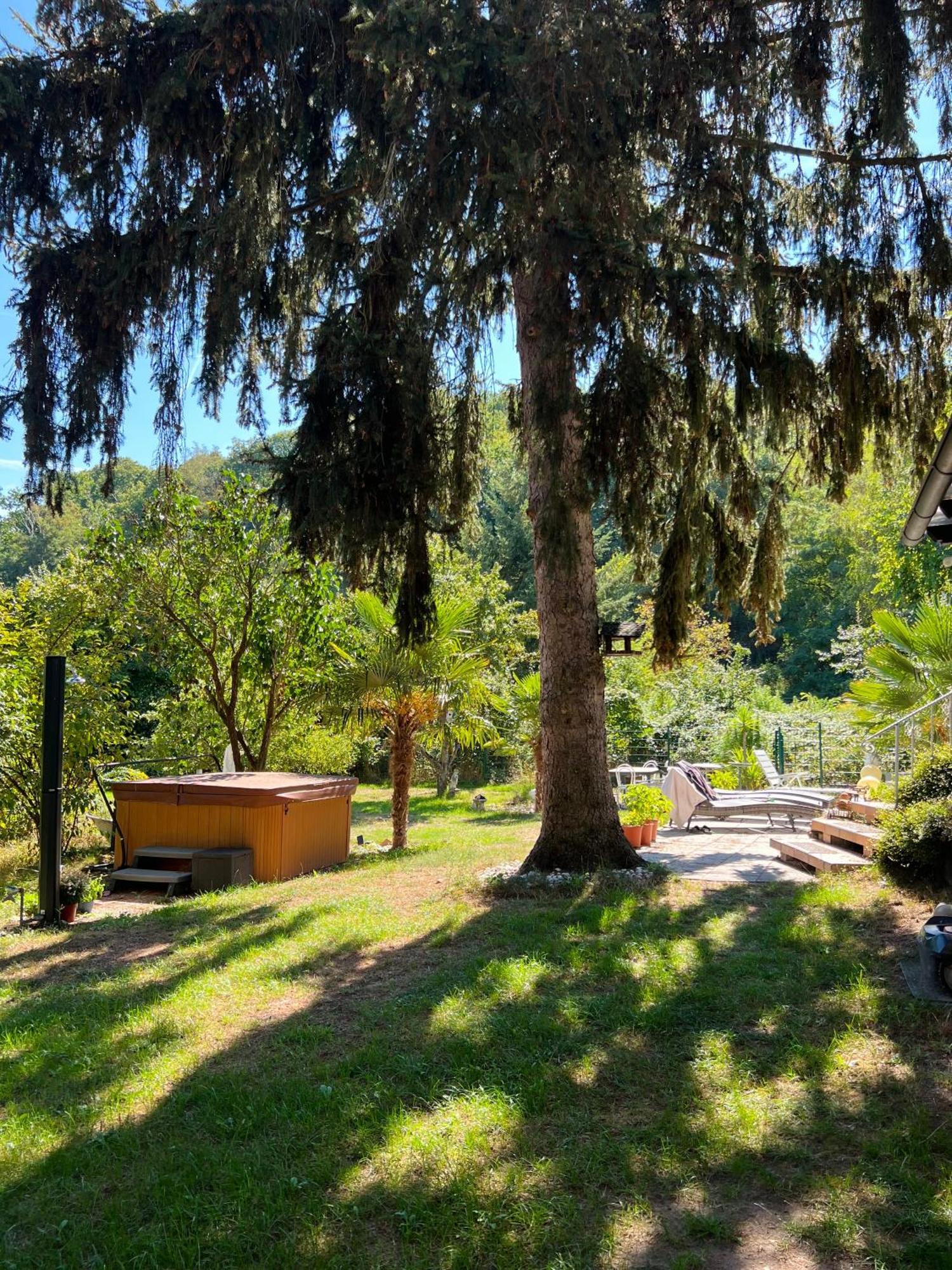Privates Ferienhaus Mit Pool & Whirlpool Zentral In Bad Dürkheim Esterno foto